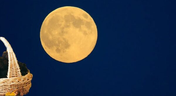 Settembre La Super Luna Del Raccolto Di Tartufo Bianco Andare A